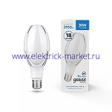 Gauss Лампа Basic BT100 AC180-240V 30W 2950lm 6500K E40 LED