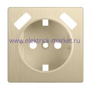 Werkel Накладка  для розетки USB Шампань рифленый WL10-USB-CP