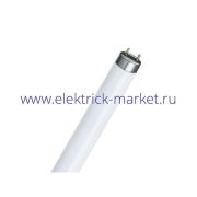 STANDART F58W 54-765 T8 Лампа люминесцентная (упаковка 25шт)