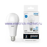 Gauss Лампа Elementary A67 30W 2390lm 6500K E27 LED