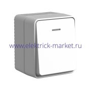 Systeme Electric AtlasDesign Profi54 Наруж Серый Выключатель 1-клавишный с подсветкой 10 АХ ATN543013