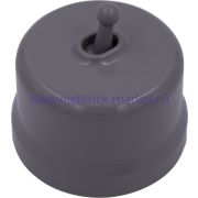 BIRONI Лизетта Пластик Титан Выключатель кнопочный 1-кл (тумблерный)